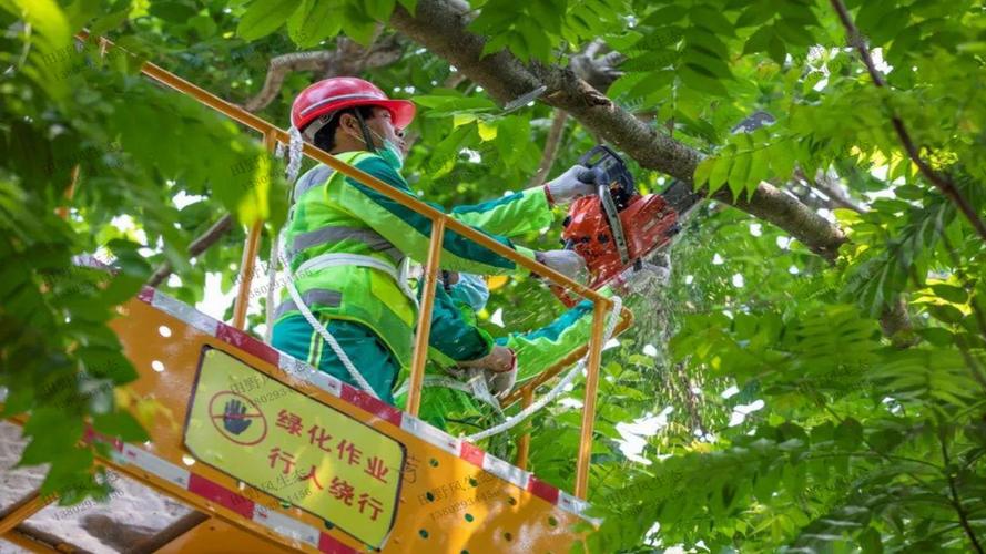 镇江市河道绿化工程项目